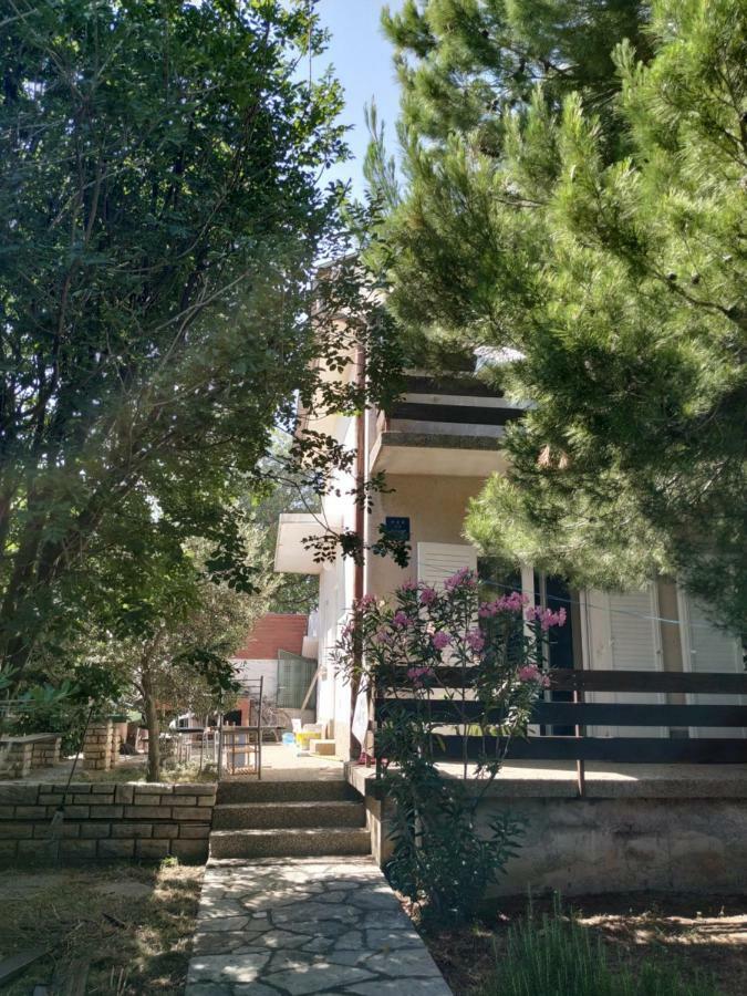 Danica Holiday House Cesarica Εξωτερικό φωτογραφία