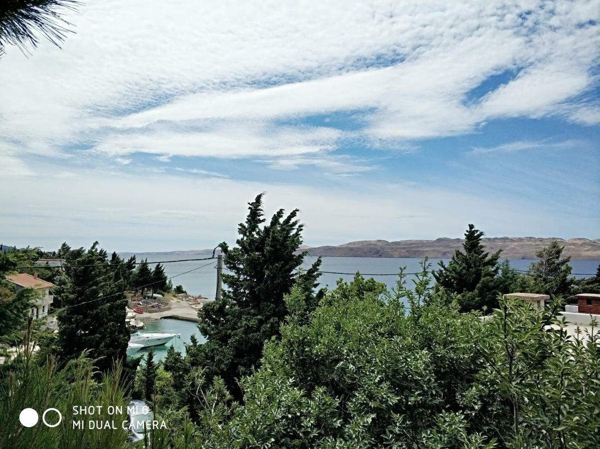 Danica Holiday House Cesarica Εξωτερικό φωτογραφία