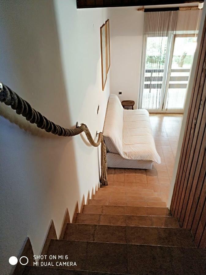 Danica Holiday House Cesarica Εξωτερικό φωτογραφία